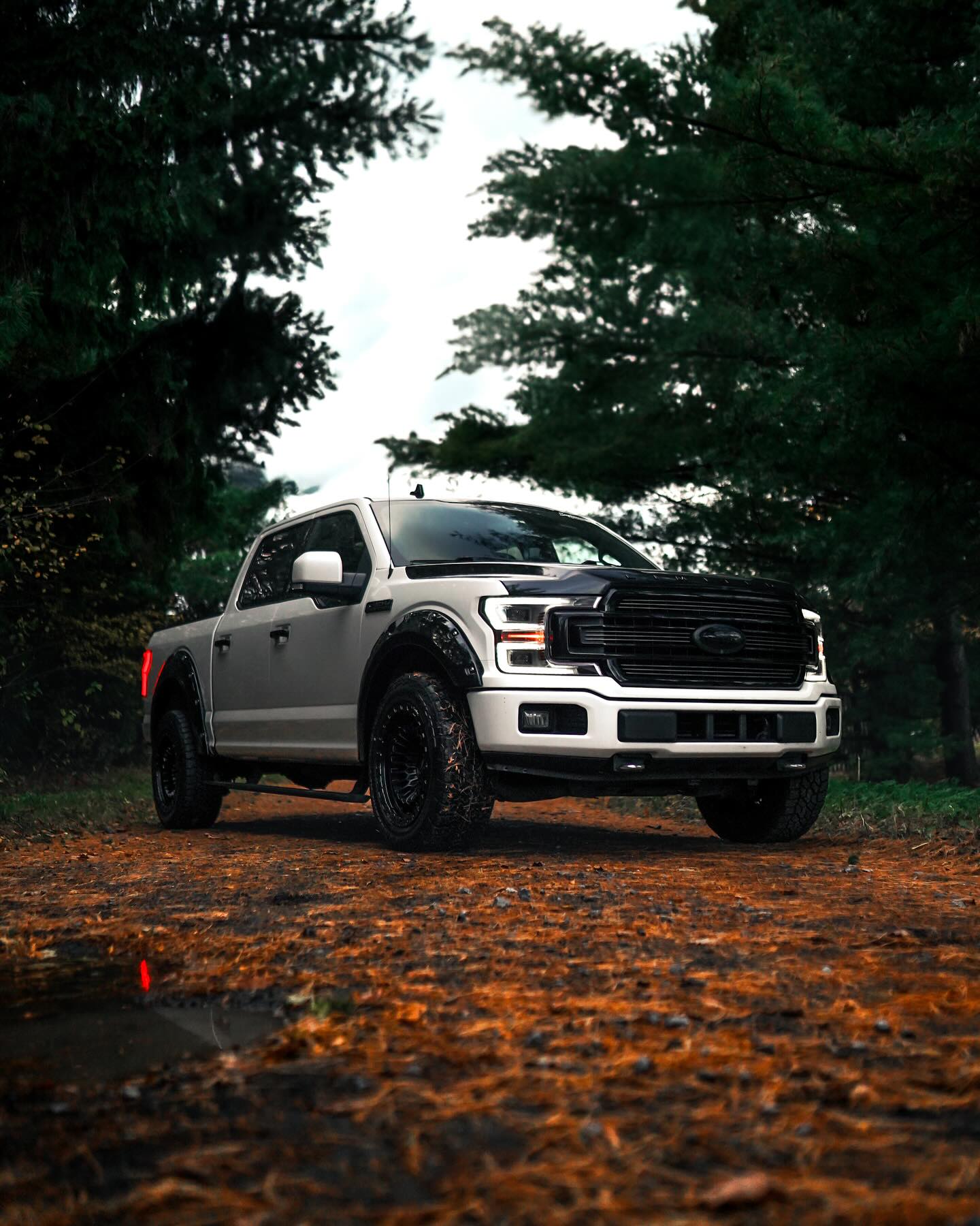 Ford F150 Limited, White / Black